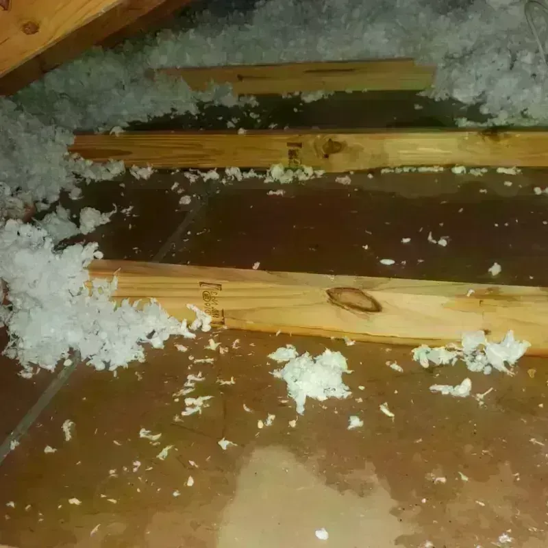 Attic Water Damage in South Jacksonville, IL