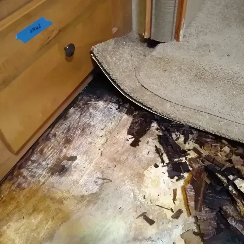 Wood Floor Water Damage in South Jacksonville, IL